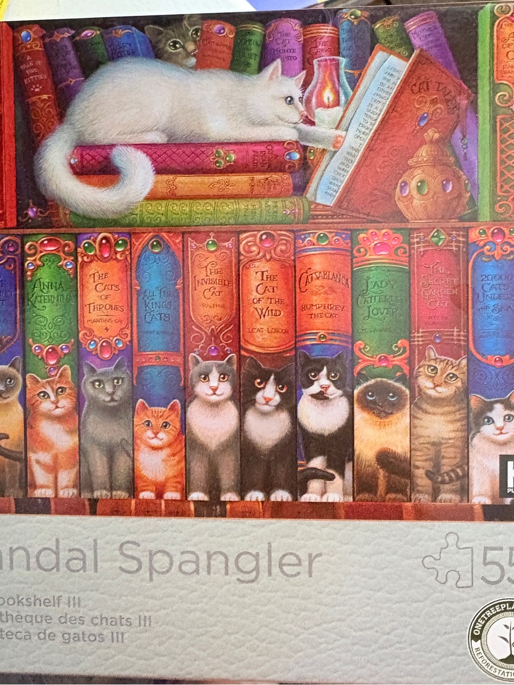 Whimsical Cat Bookshelf Puzzle 550 piece - White Cat & Multicolor Book Spines